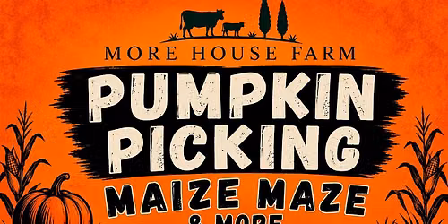 More House Pumpkin Pickin' Patch