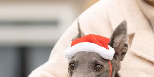 WGW Christmas Blessing on the Green