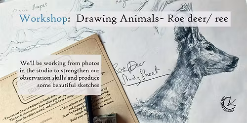 Workshop: Drawing Animals- Deer, for  Confident Beginners+, Eindhoven