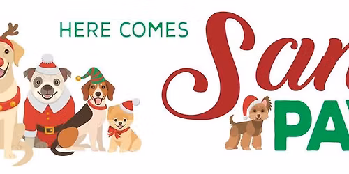 Santa Paws