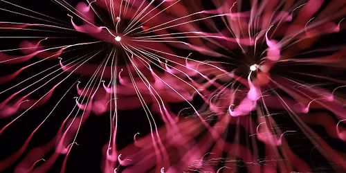 Fireworks at Bayside Carols