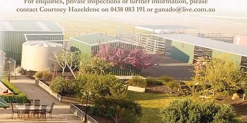Ganado Greys Open Day