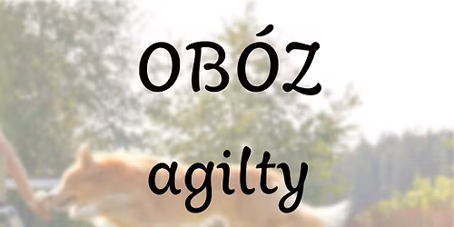 Agility z Lil\u0105 Zachwatowicz