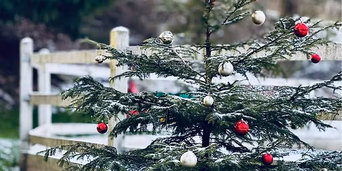 V\u00e1noce na farm\u011b 2025