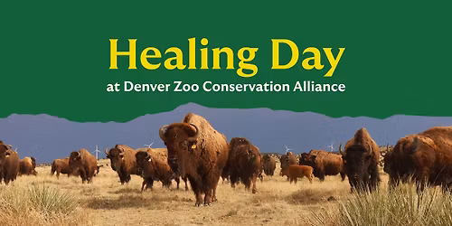 Healing Day at DZCA