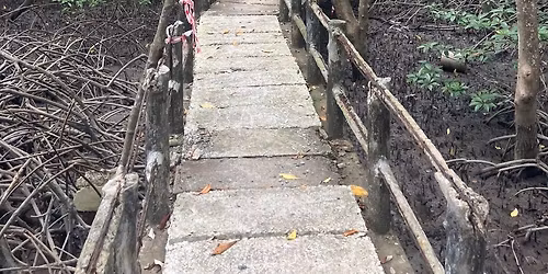 2A: Hike Can Gio Mangrove Forest! (UNESCO Nature Reserve)