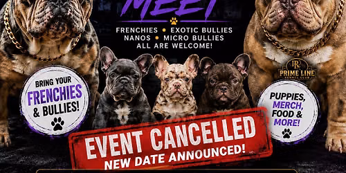 prime line kennel club 1st annual dog meet