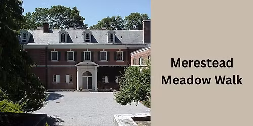 Merestead Meadow Walk