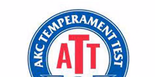 AKC Temperament Test