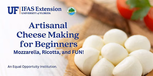 Artisanal Cheese Making Workshop, DeFuniak Springs, FL