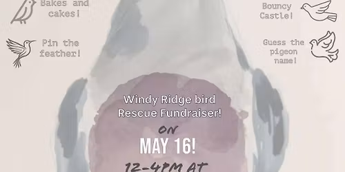 Windy Ridge Bird Fund Raiser
