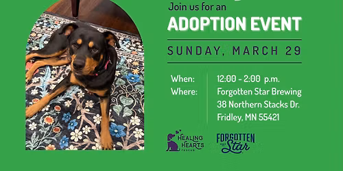 Dog Adoption Event at Forgotten Star Brewing