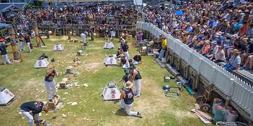 Puhoi Pub & Puhoi Axemans club Annual Woodchopping Carnival