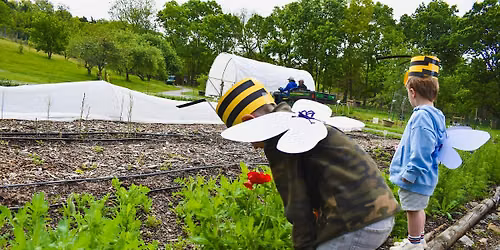 Little Farmers Storytime - The Life Cycle of A Butterfly