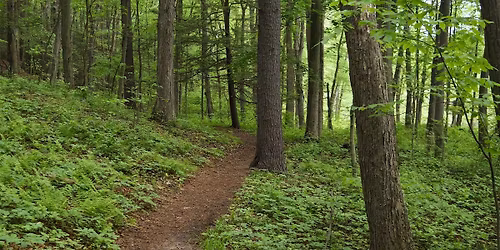 WMass BSLA Hike + Brew