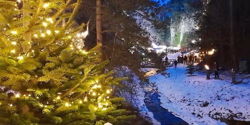 EGY K\u00dcL\u00d6NLEGES ADVENT A JOHANNESBACH-SZURDOKBAN \u00c9S KISMARTONBAN