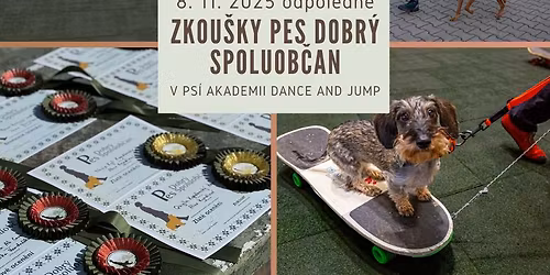 Zkou\u0161ky Pes Dobr\u00fd spoluob\u010dan - Praha