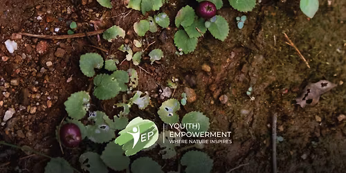 Down to Earth: Soil for Climate Action