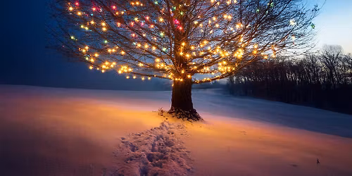 20th Annual Sally Short's Holiday in the Park