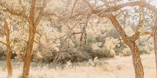 Rhett Grieve & Serena Stainer\u2019s Pre-Wedding Social