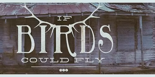 If Birds Could Fly