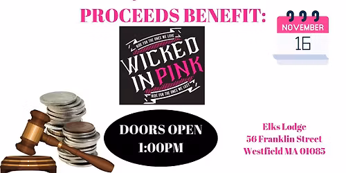 Wicked In Pink Quarter Auction