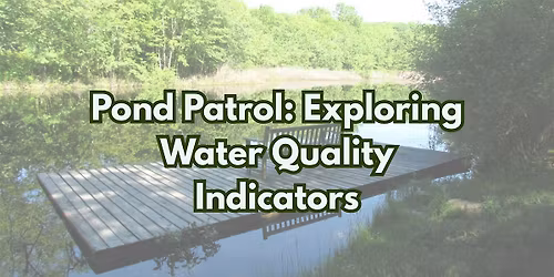 Pond Patrol: Exploring Water Quality Indicators