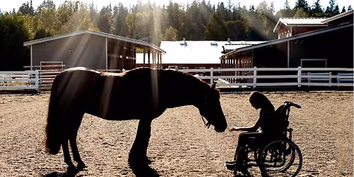 Little Bit Riding Center sketch