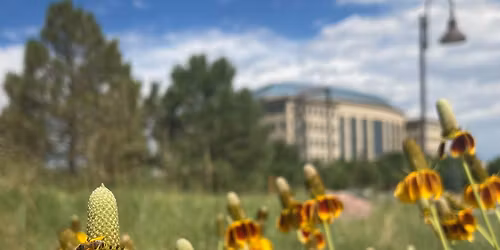 Aurora Native Plant Seed Swap