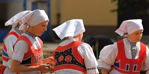 Festival v\u00edn Kyjovska 2026
