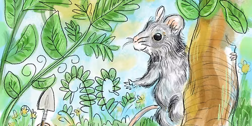 Playtime! A Woodland Wonder