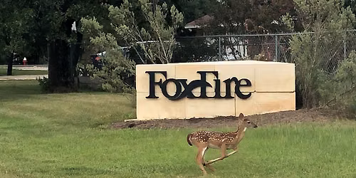 Foxfire's 19th Annual 4th of July Bike & Trike Parade!