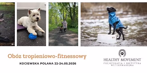 Ob\u00f3z tropieniowo-fitnessowy nad jeziorem