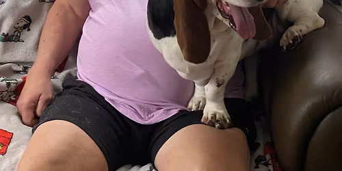 Low Cost Veterinary Wellness Clinic