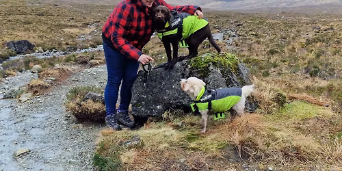 advertising day for swinden doggy care