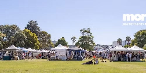 The Little Big Markets Auckland Anniversary long weekend ~ Cruise Ship in \ud83d\udea2