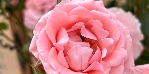 Kiel Farmer's Market Informational Meeting