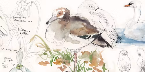 Field sketching with Vivi Vo Le [ENGL | LU | DE]