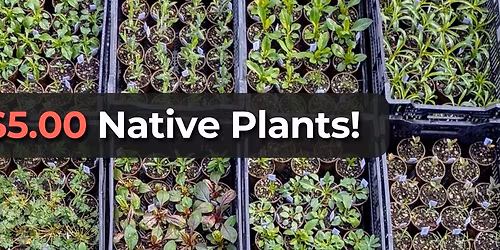 $5 Native Plant Sale!