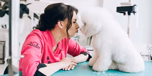 Pomys\u0142 na psa wed\u0142ug Magdaleny B\u0142o\u0144skiej