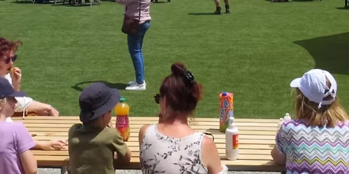 Open Mic On The Village Green Hosted By Willie's Open Mic