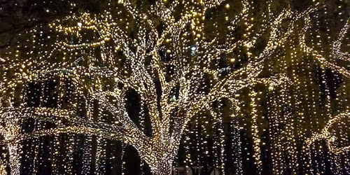 Parking Night Shift Before Christmas - Houston