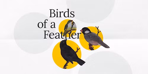 Iowa Bibliophiles: Birds of a Feather