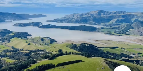 PORT HILLS sign of the kiwi to sign of bellbird return