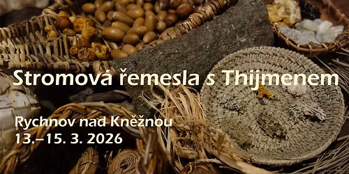 Everything Tree with Thijmen