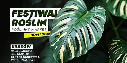 Festiwal Ro\u015blin w Krakowie - wielki market ro\u015blin w supercenach