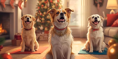 Paws and Pose: A Movers for Mutts Event