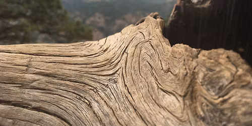 Hiking Connect Group - Season Finale