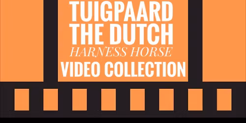 Videopresentatie NK Fokmerries 1980-2007