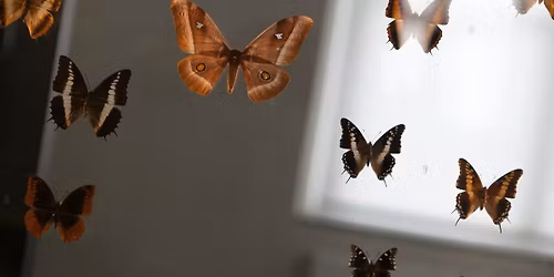 Science Saturday: The Science of Life